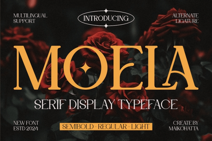 Moela - Serif Display Typeface Font Download