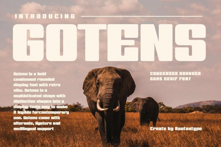 Gotens Bold Condensed Font Font Download