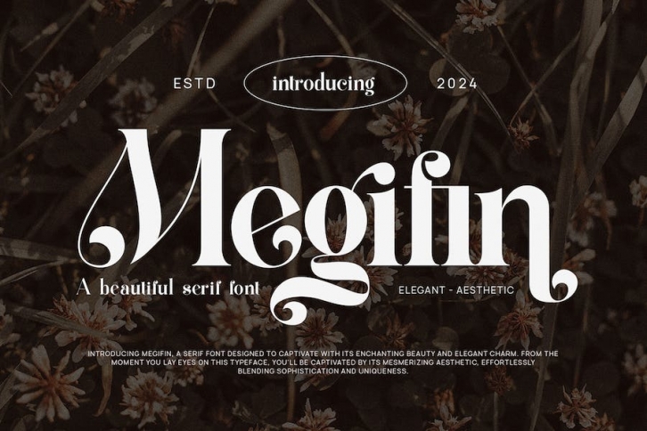 Megifin Beautiful Ligature Serif Font Download