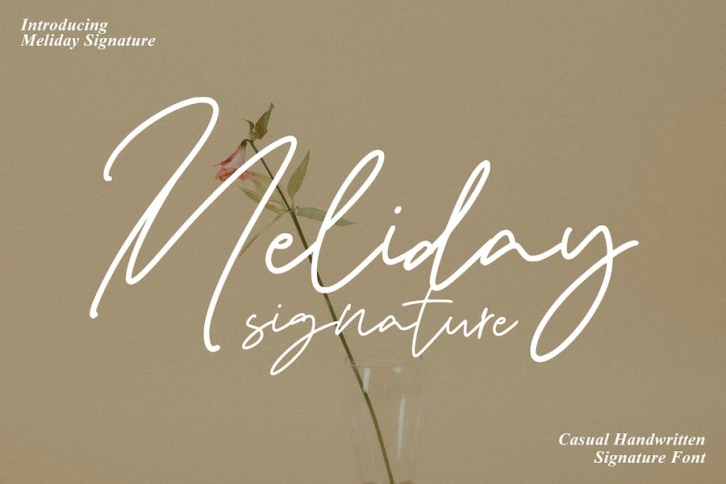 Meliday - Casual Handwritten Font Download