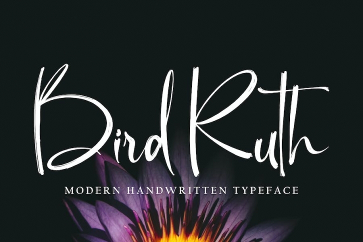 Bird Ruth Font Download