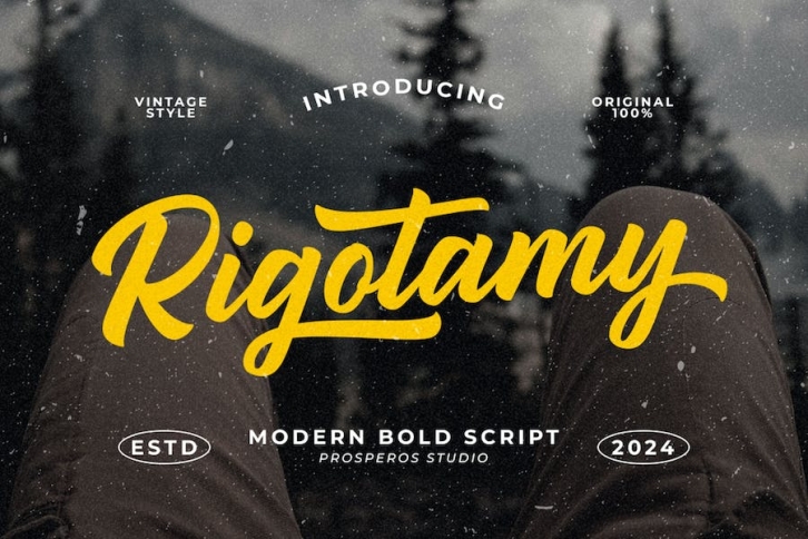 Rigotamy - Script Font Font Download