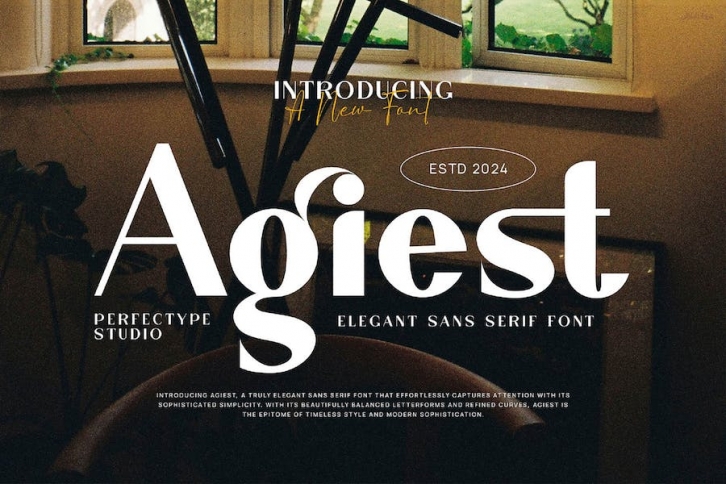 Agiest Elegant Sans Serif Font Typeface Font Download