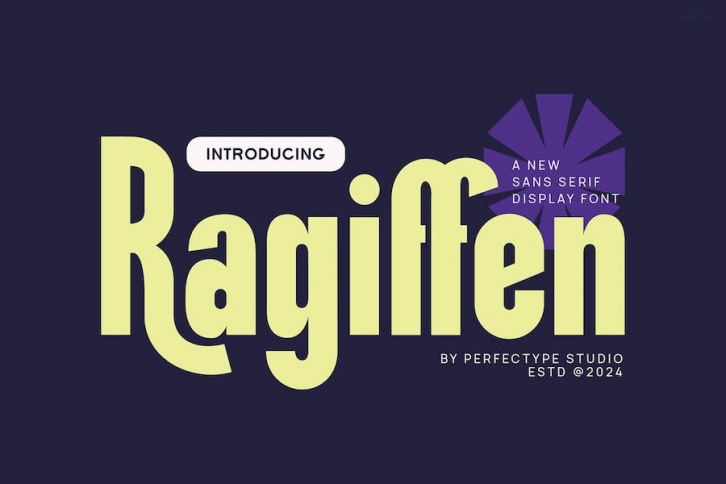 Ragiffen Modern Futuristic Sans Serif Font Font Download