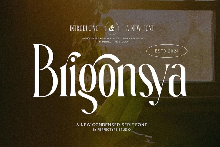 Brigonsya Elegant Ligature Serif Font Typeface Font Download