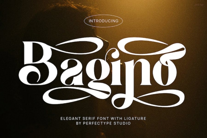Bagino Elegant Serif Font Typeface Font Download