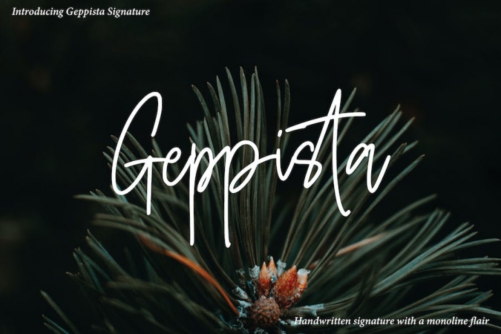 Geppista - Casual Handwritten Font Download