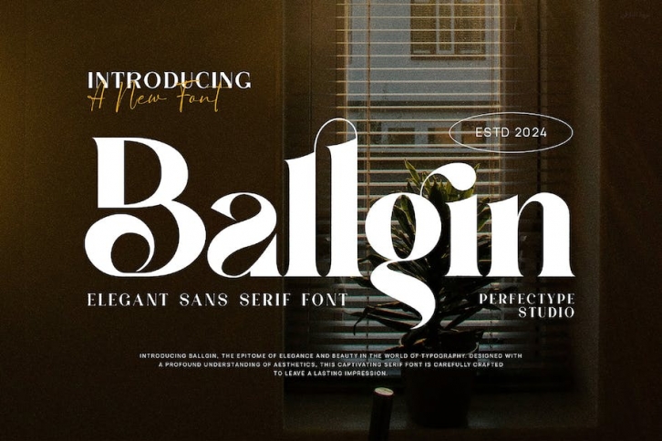 Ballgin Elegant Ligature Serif Font Typeface Font Download