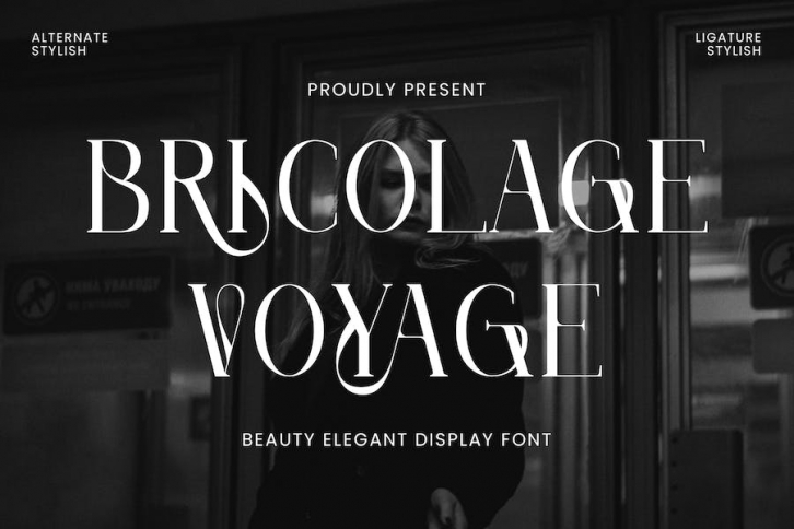 Bricolage Voyage - Elegant Display Font Font Download