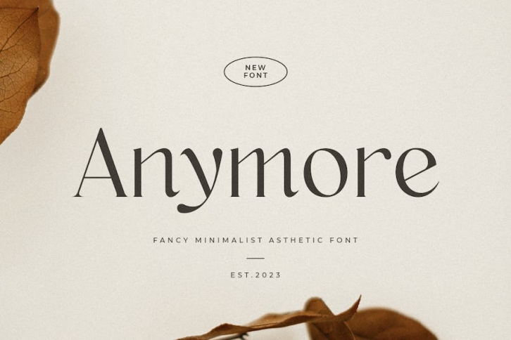 Anymore - Fancy Minimalist Aesthetic Font Font Download