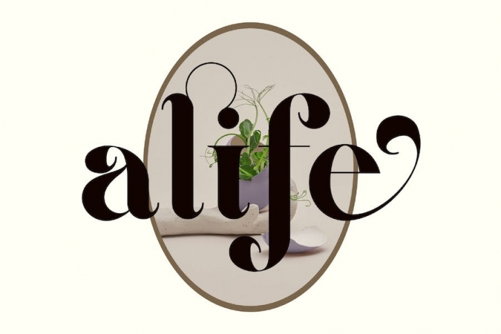 alife unique ligature serif typeface Font Download