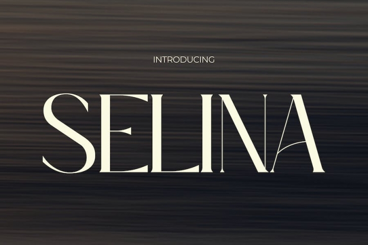 Selina - Modern Elegance Font Font Download