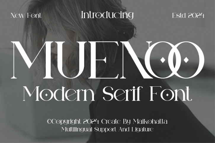 Muenoo -Modern Serif Font Font Download