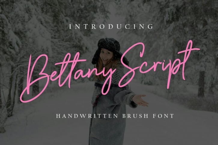 Bettany Script Font Font Download