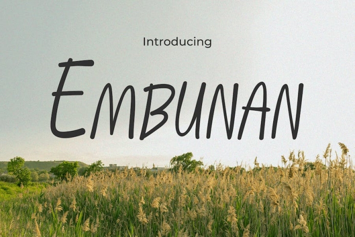 Embunan - Elegance Blooms in Handwritten Font Font Download