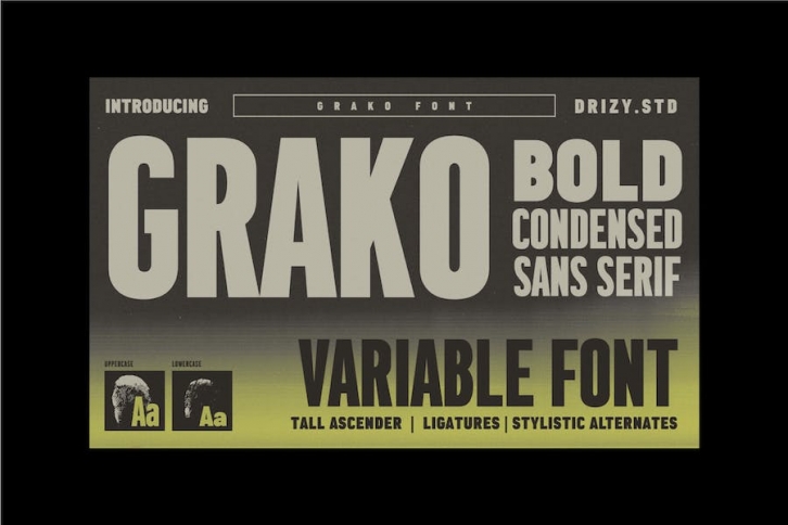 Grako - Bold Condensed Variable Font Font Download