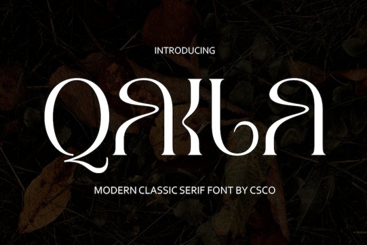 Qaila – Serif Typeface Font Download