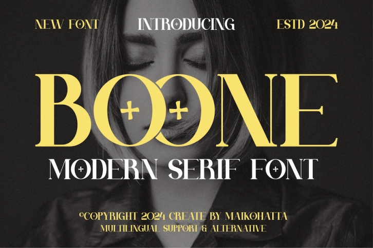 Boone - Modern Serif Font Font Download