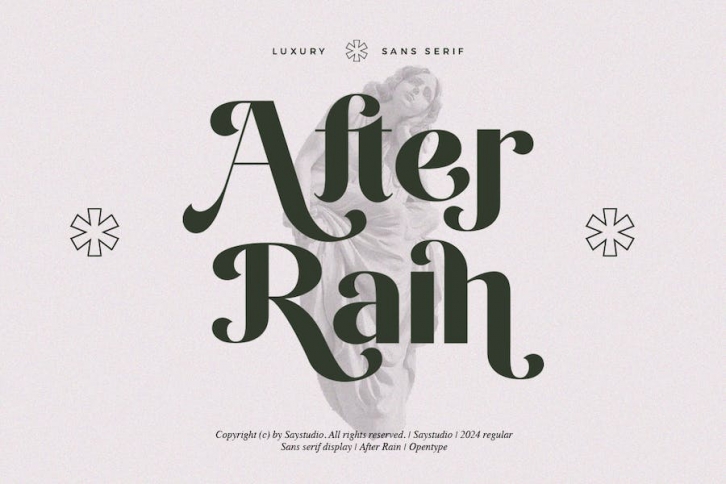 After Rain - Modern Logo Elegant Font Font Download