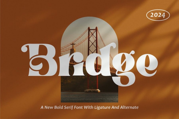Bridge - Classy Serif Font Font Download
