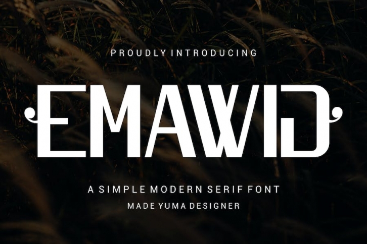 Emawij - a Popular Font Font Download