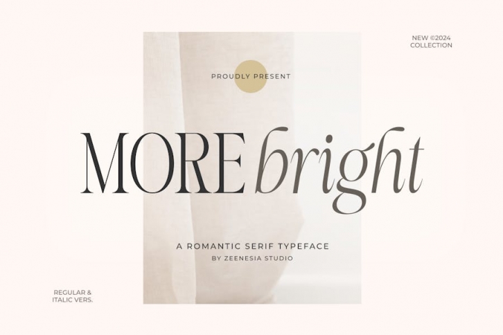 More Bright Serif Duo Font Download