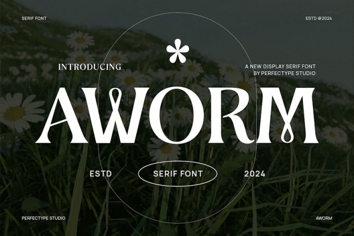 Aworm Elegant Serif Font Typeface Font Download