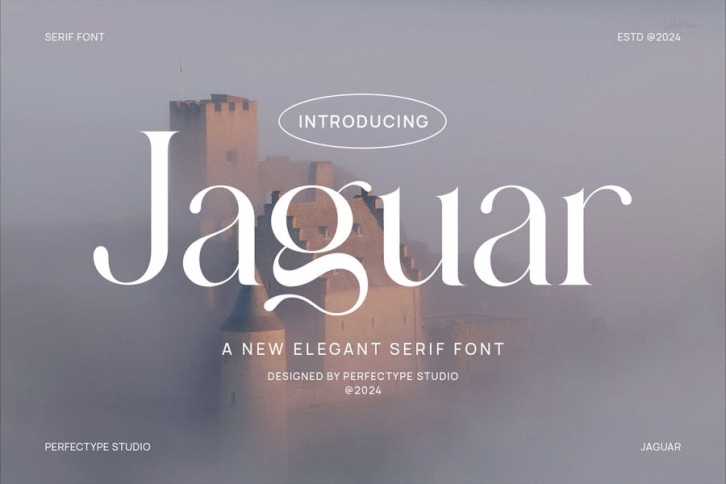 Jaguar Elegant Serif Font Typeface Font Download