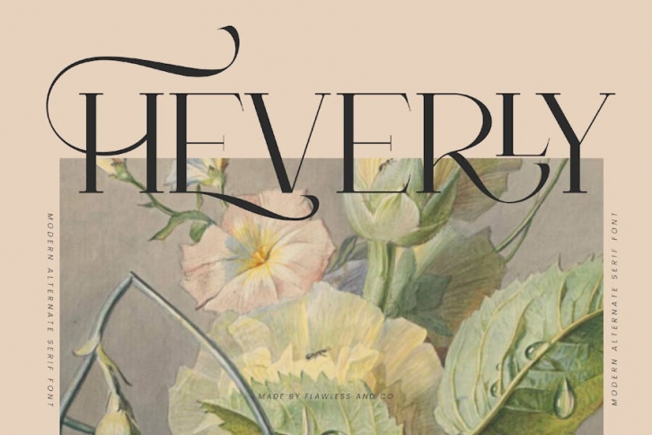 Heverly Font Download