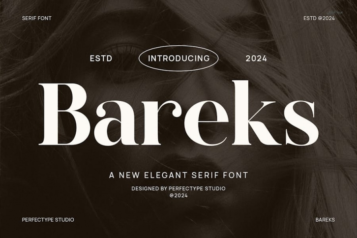 Bareks Elegant Serif Font Typeface Font Download