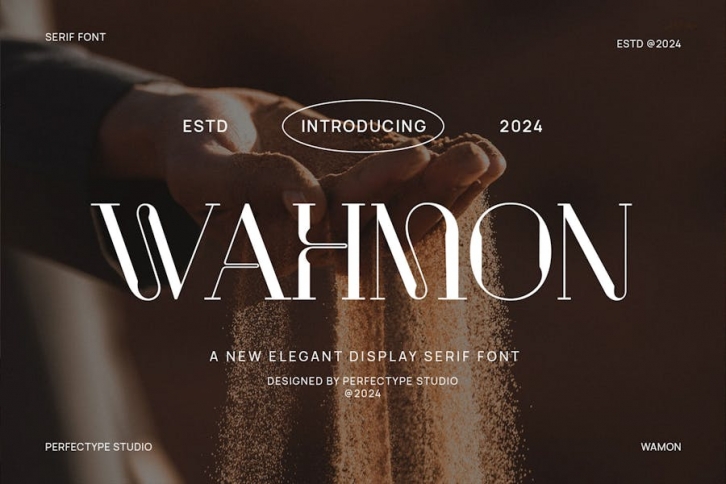 Wahmon Elegant Serif Font Typeface Font Download