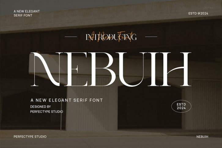 Nebuih Elegant Serif Font Typeface Font Download