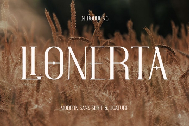 Lienerta Font Font Download
