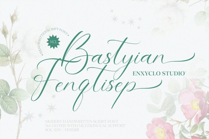 NCL Bastyian Fenqtisep - Handwritten Script Font Font Download