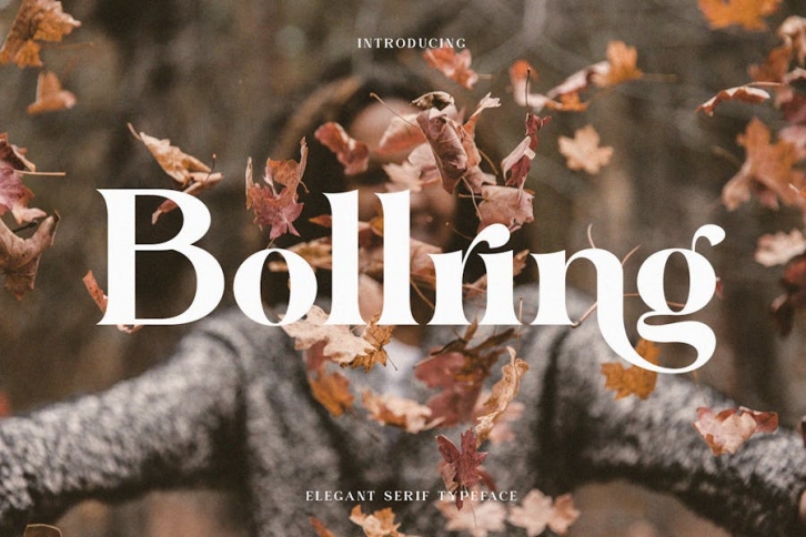 Bollring Elegant Serif Typeface Font Download