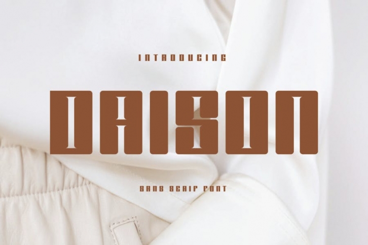 Daison - Sans Serif Font Font Download