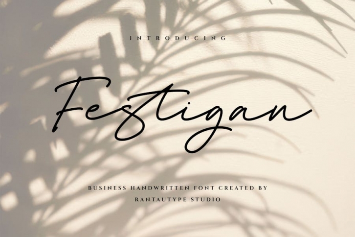 Festigan Business Handwritten Font Font Download
