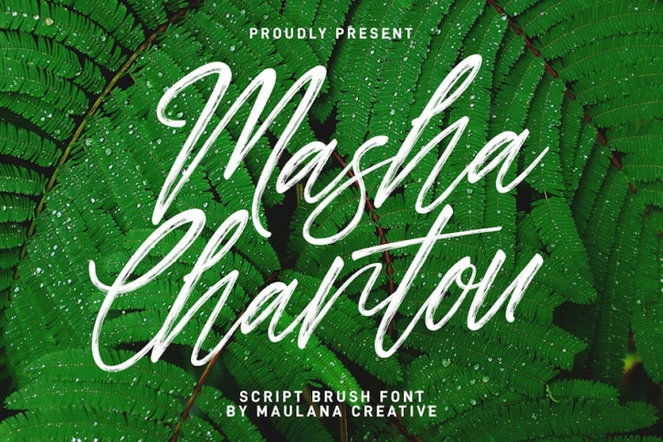 Masha Chantou Script Brush Font Font Download