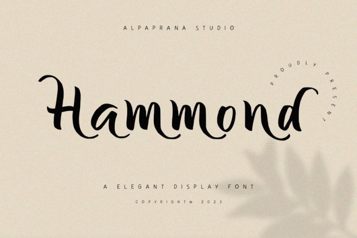 Hammond Font Download