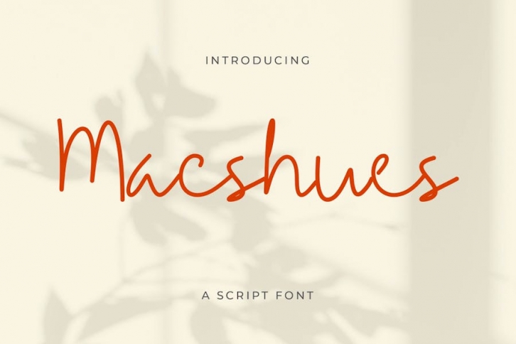 Macshues Minimalist Script Font Font Download