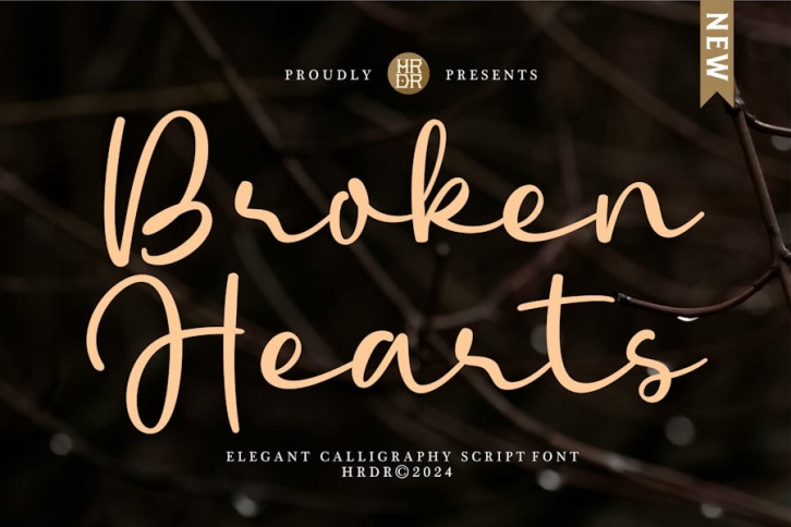 Broken Hearts - Elegant Calligraphy Script Font Font Download