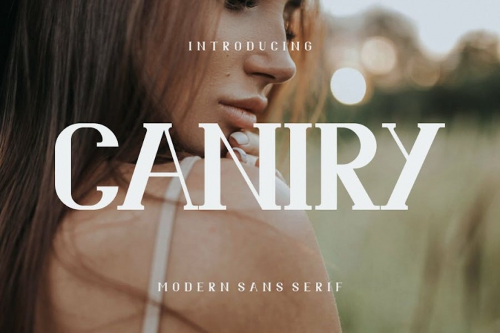 Caniry Font Font Download