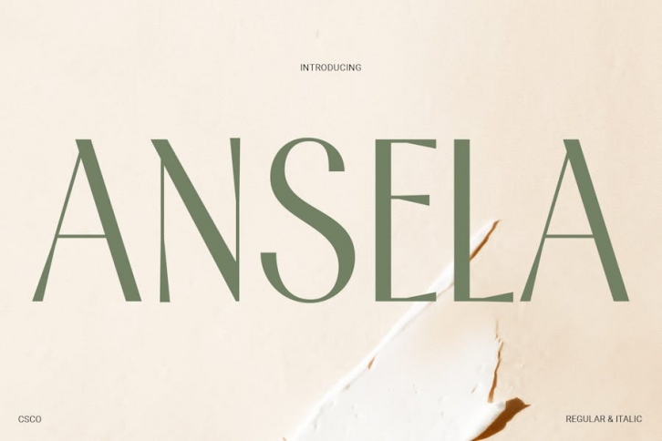 Ansela – Elegant Sans Font Download