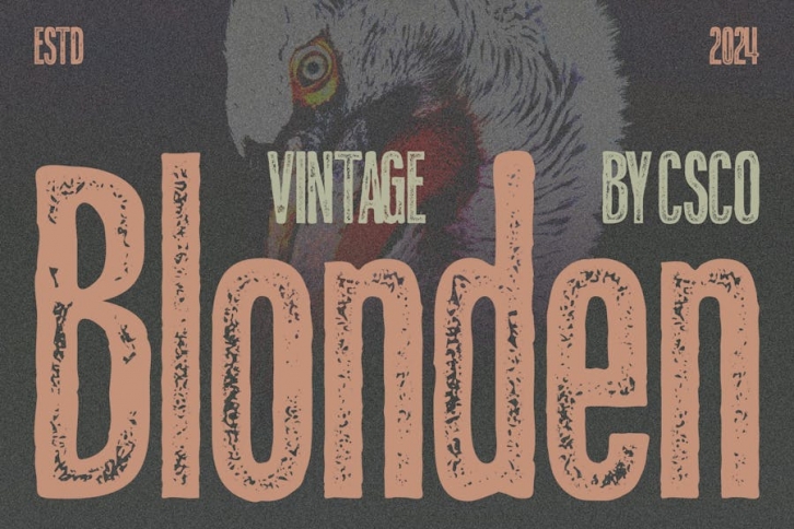 Blonden Vintage Font Download