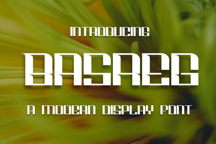 Basreg Font Download