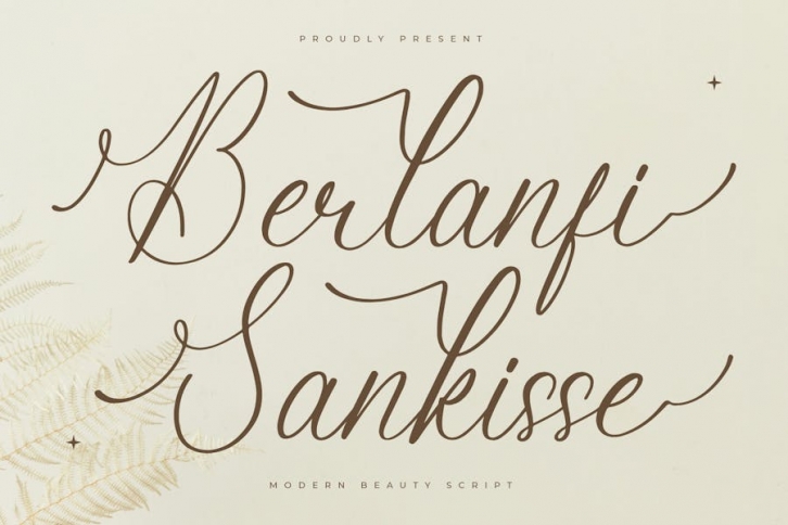 Berlanfi Sankisse Modern Script Font Font Download