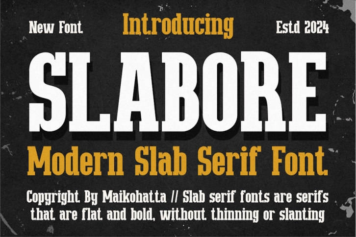 Slabore - Modern Slab Serif Font Font Download