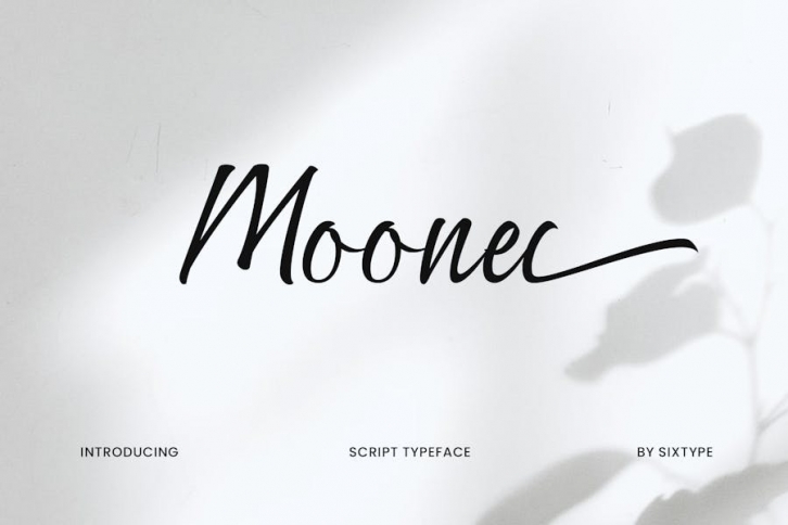 Moonel - Script Typeface Font Download