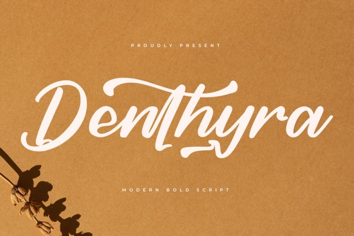 Denthyra Modern Bold Script Font Font Download