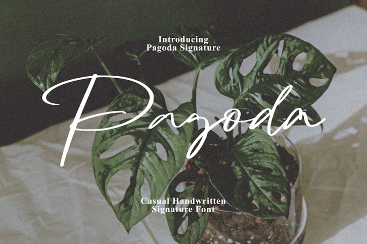 Pagoda - Casual Handwritten Font Download